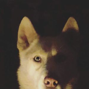 Meet your Posher, Shane